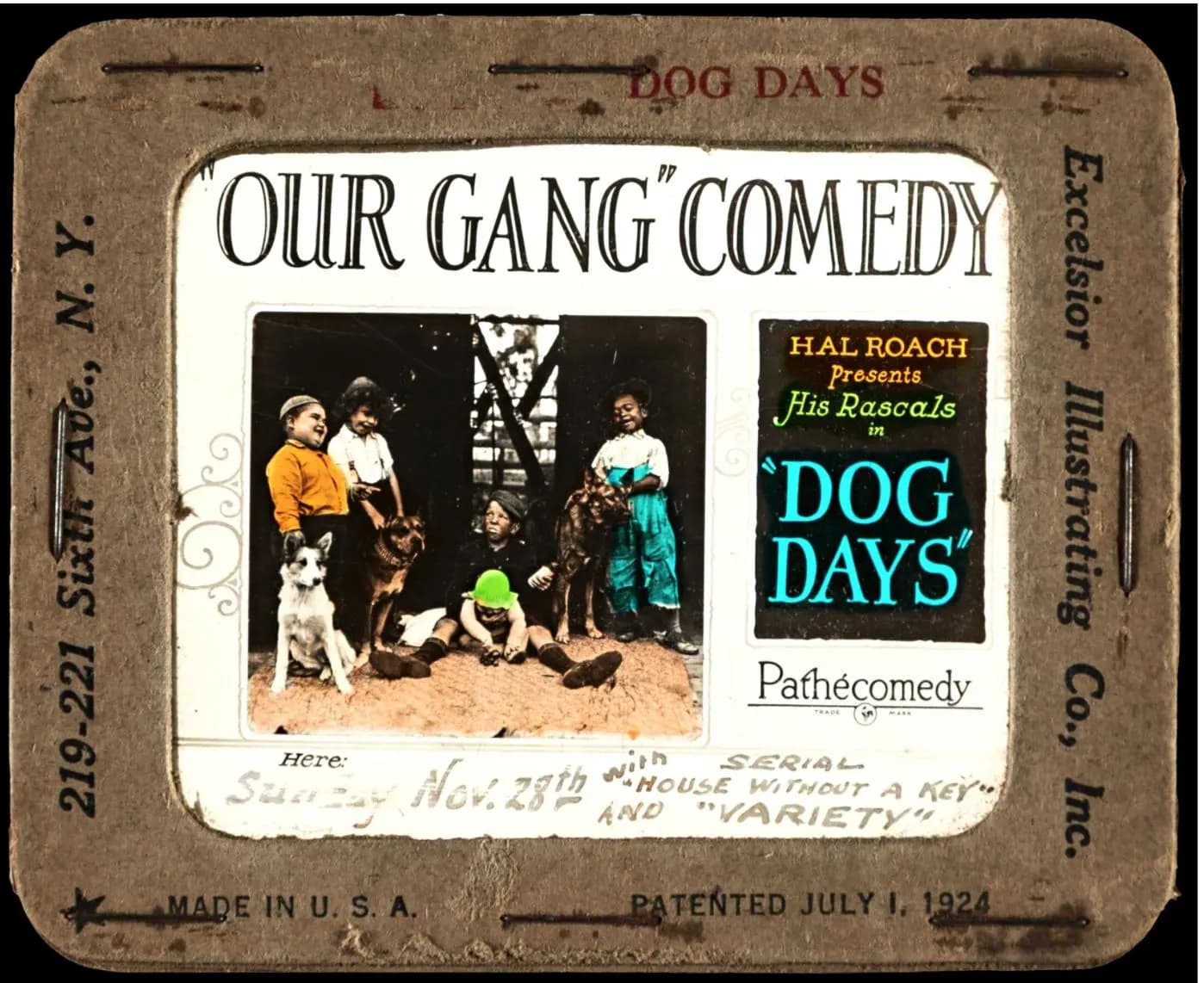 Dog Days photo
