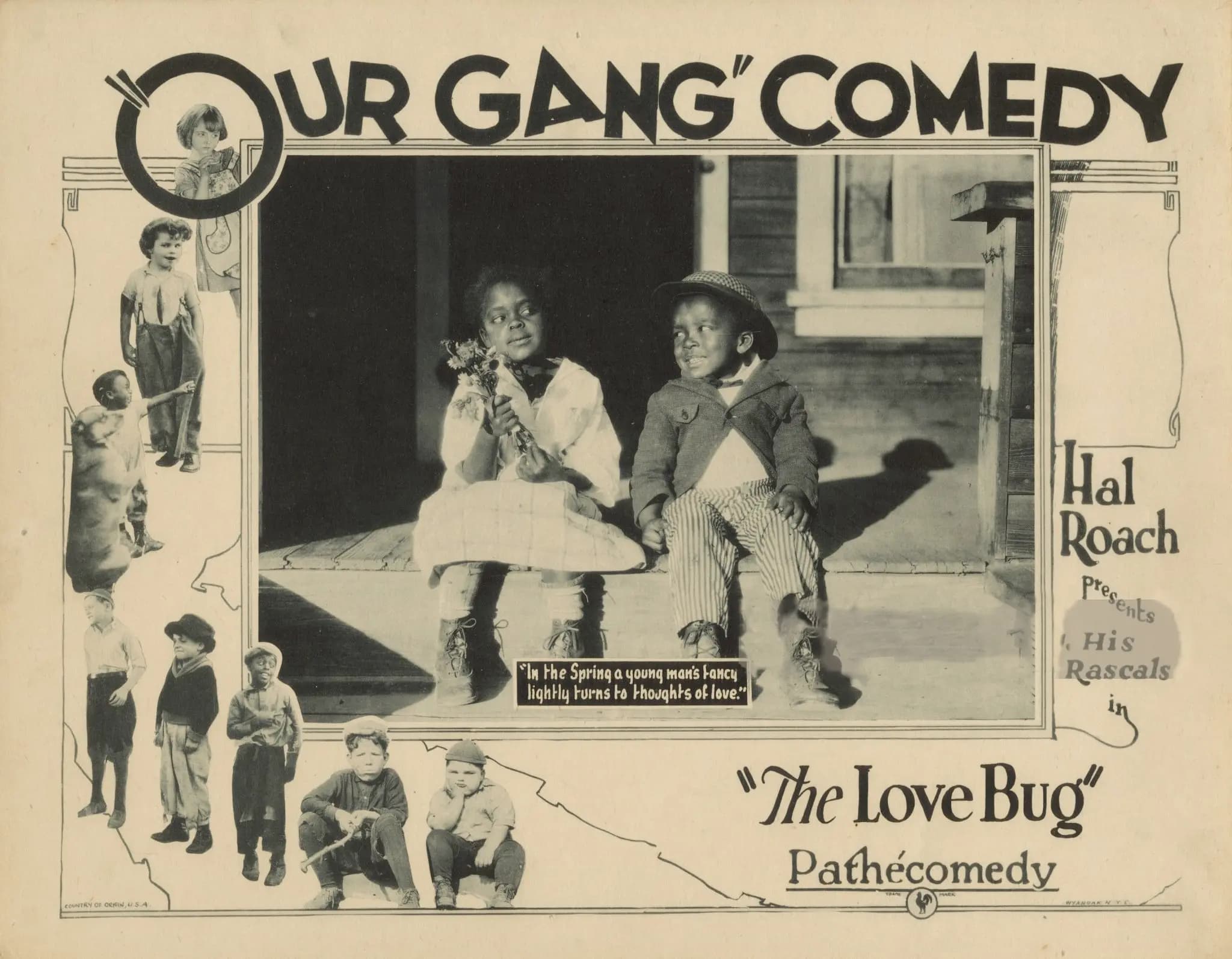 The Love Bug photo