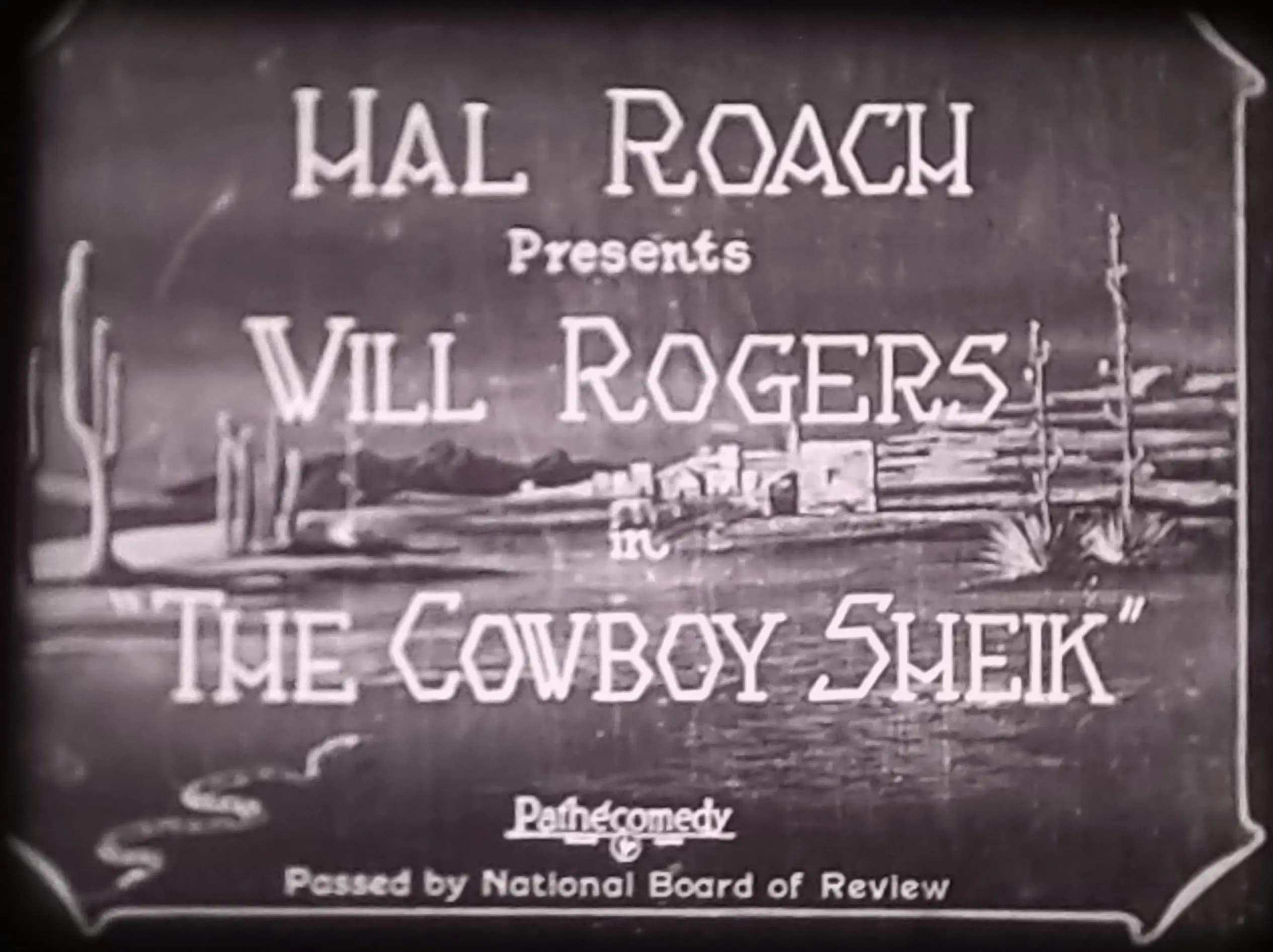 The Cowboy Sheik