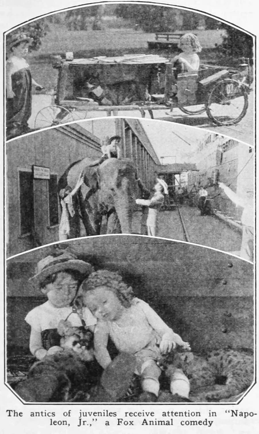 Napoleon, Jr. photo
