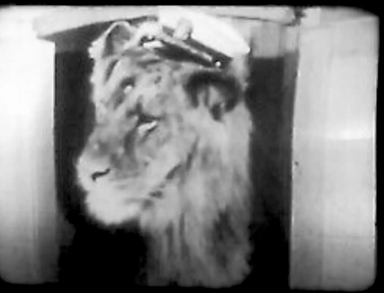 Scarem Much