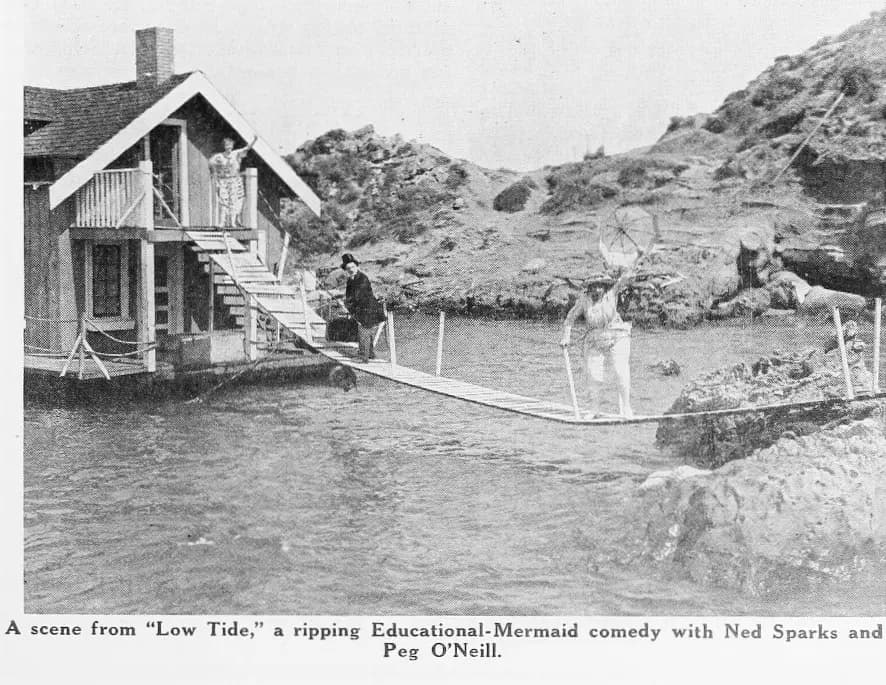 Low Tide photo