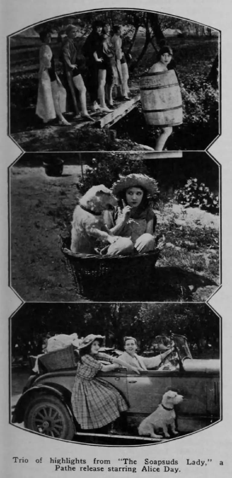 The Soapsuds Lady photo