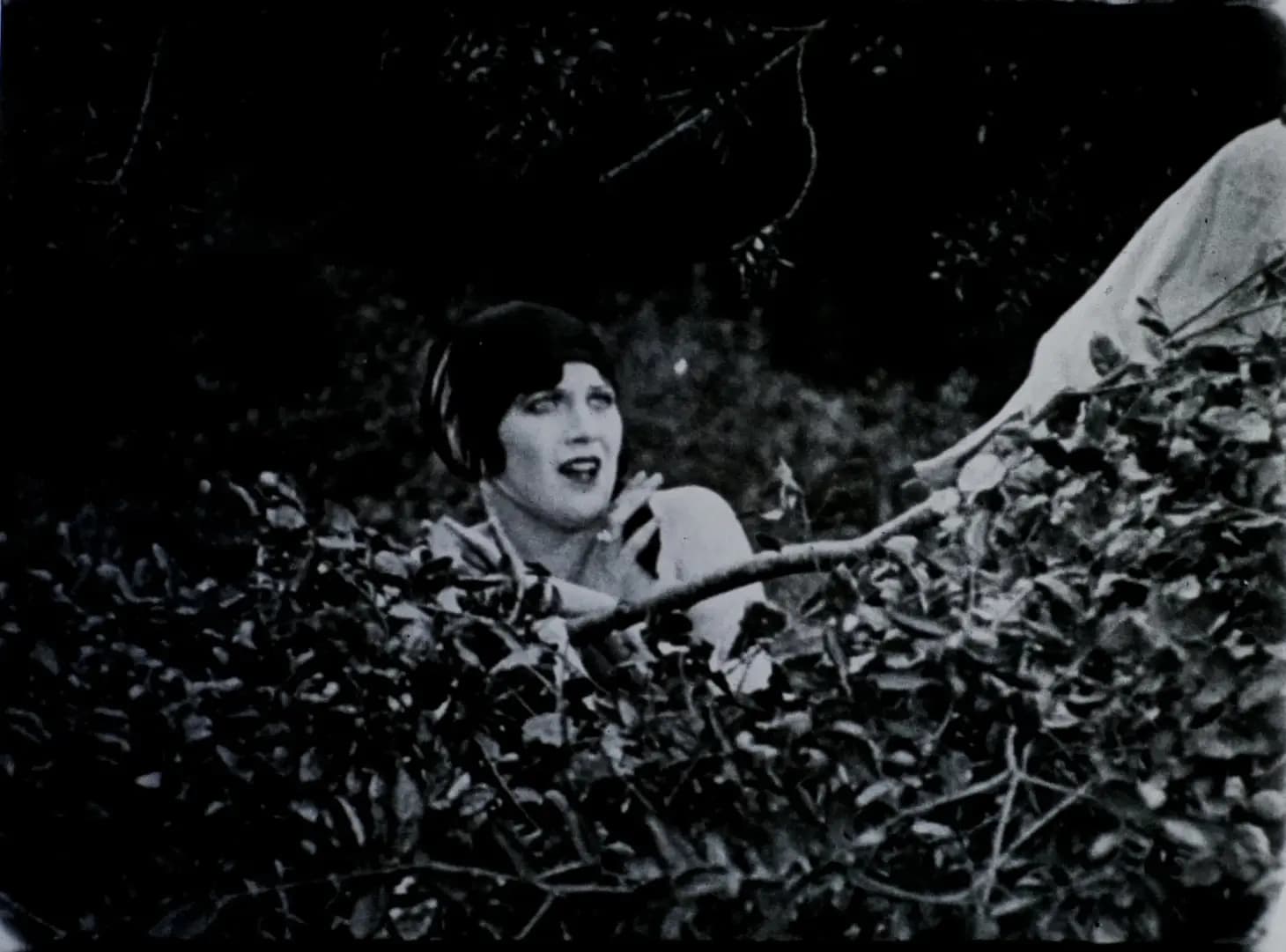 The Soapsuds Lady photo