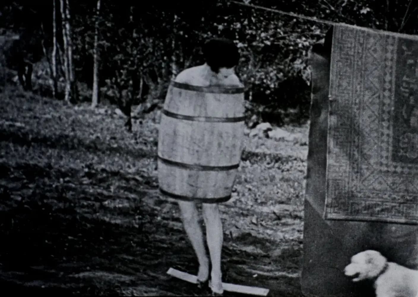 The Soapsuds Lady photo