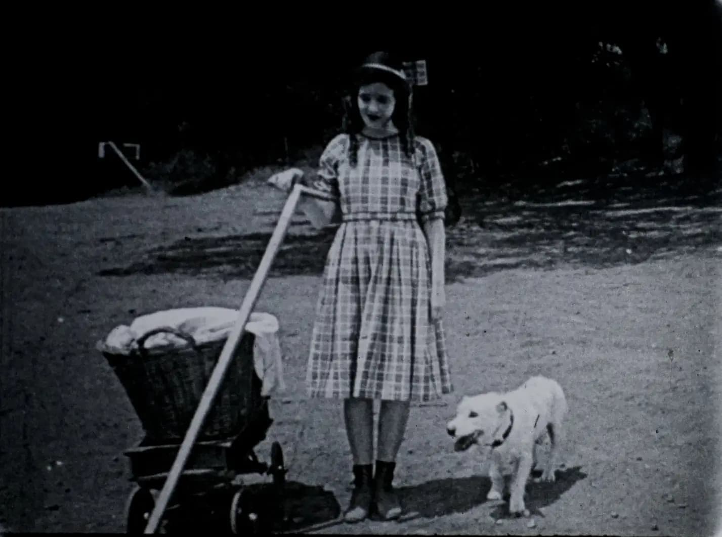 The Soapsuds Lady photo