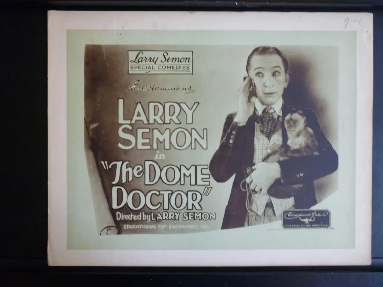 The Dome Doctor