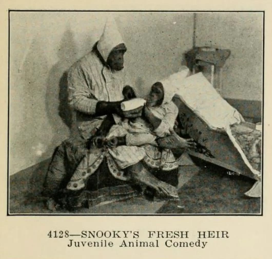 Snooky's Fresh Heir photo