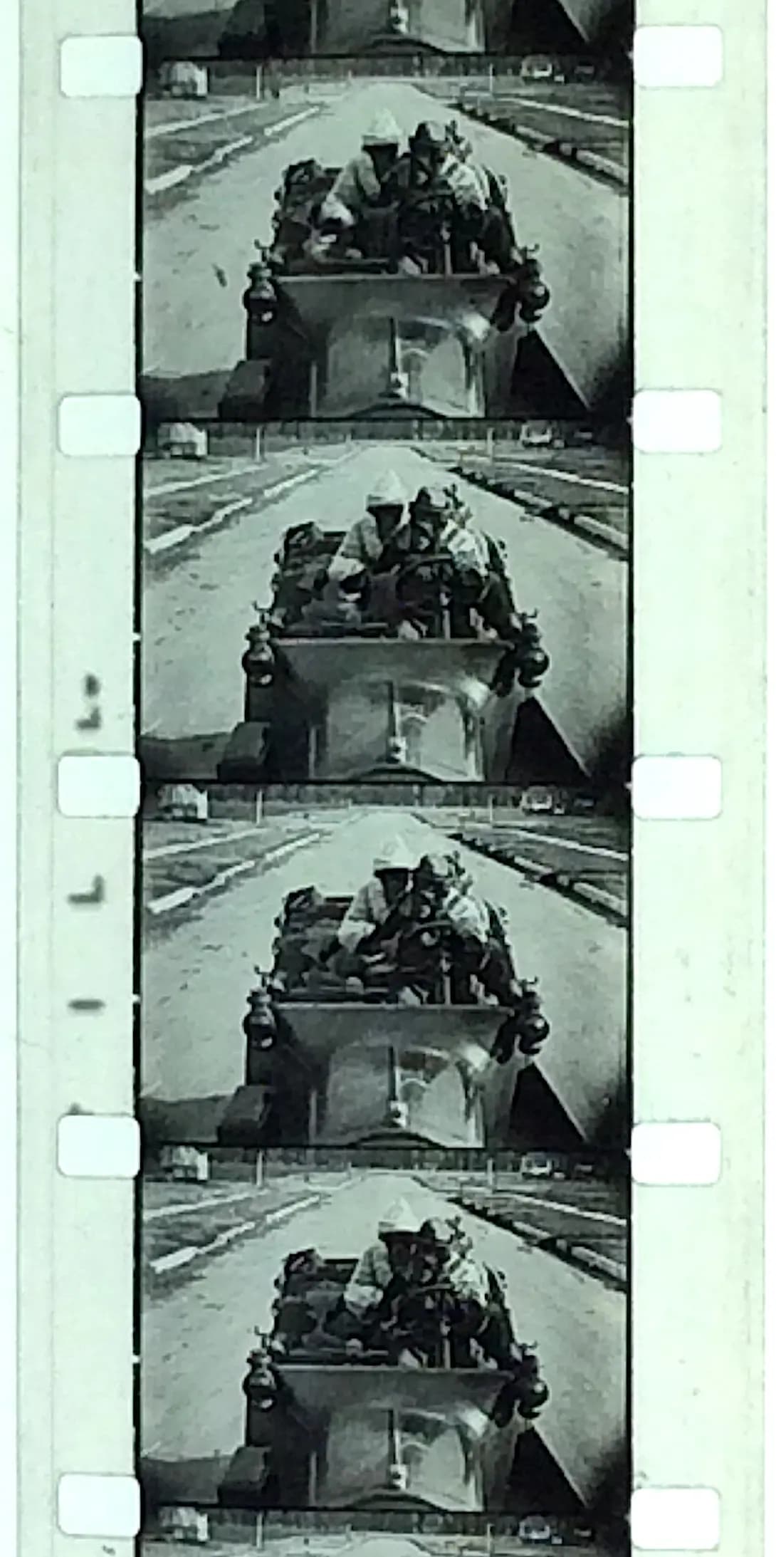 Snooky's Fresh Heir photo