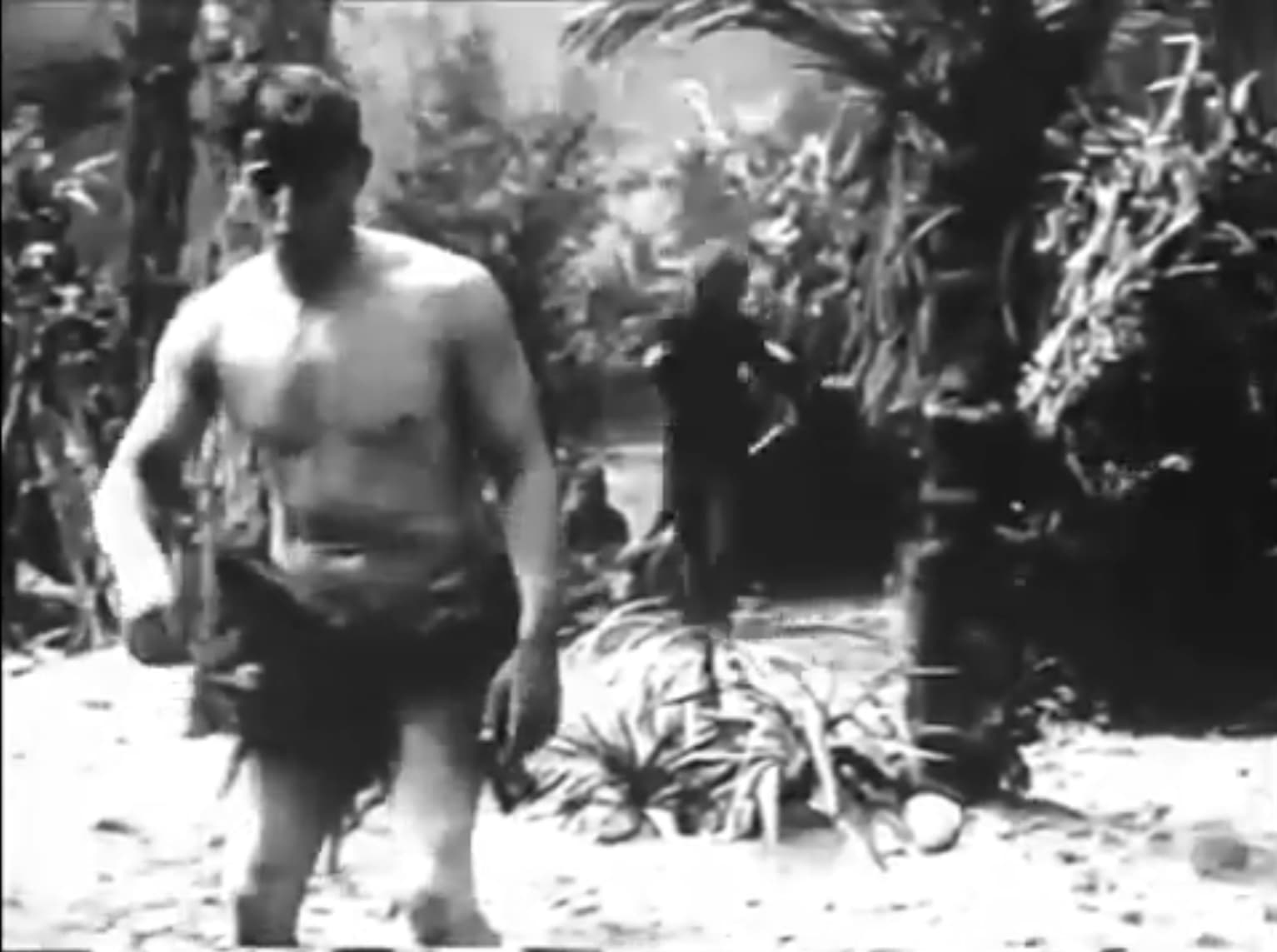 The Extraordinary Adventures of Saturnino Farandola photo