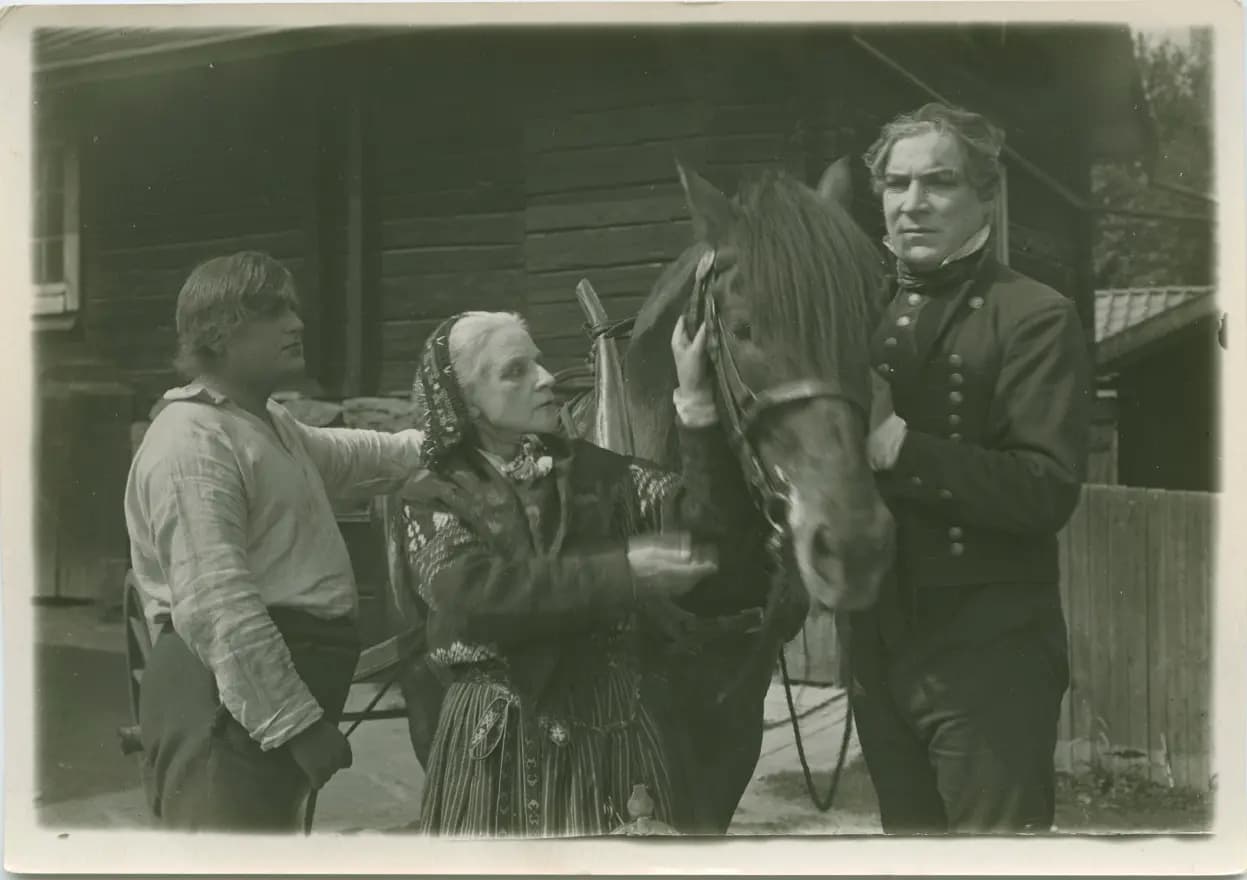Hälsingar photo