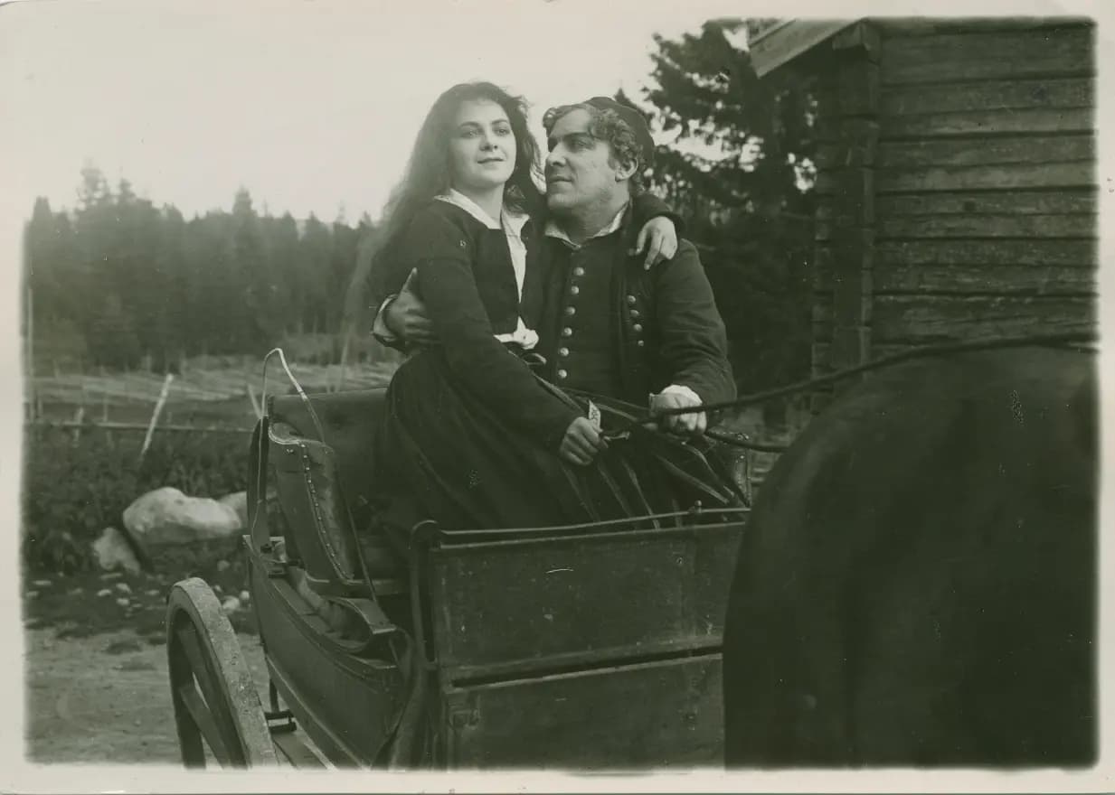 Hälsingar photo