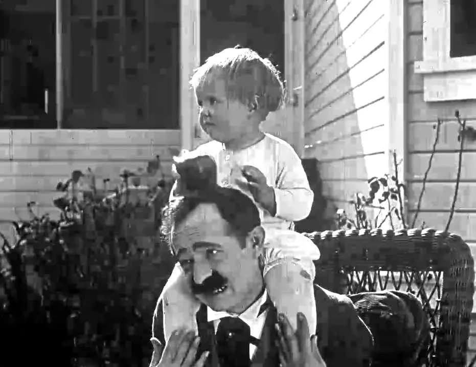 A Lion's Alliance photo