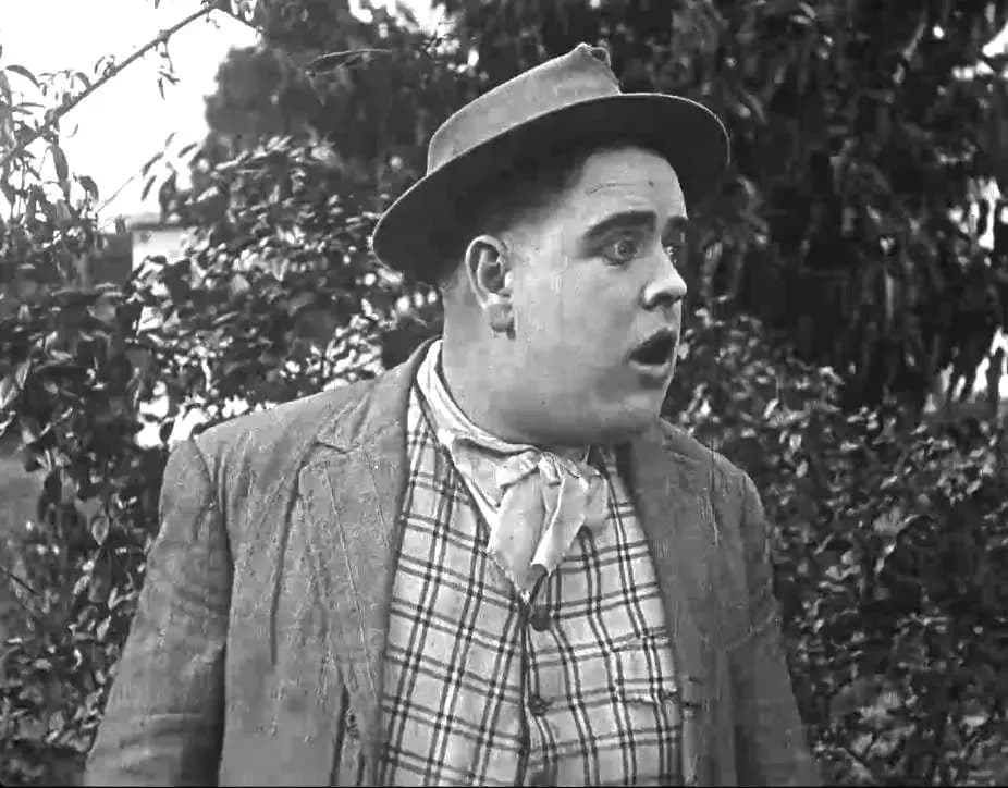 A Lion's Alliance photo