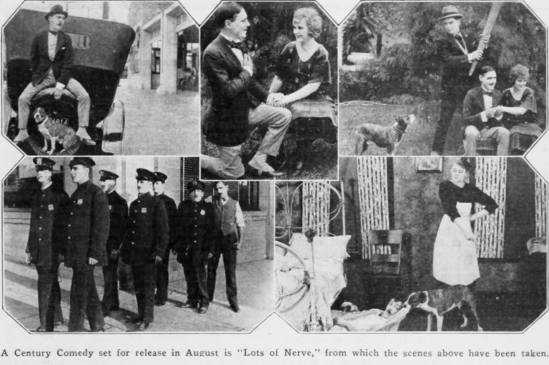 Lots of Nerve
