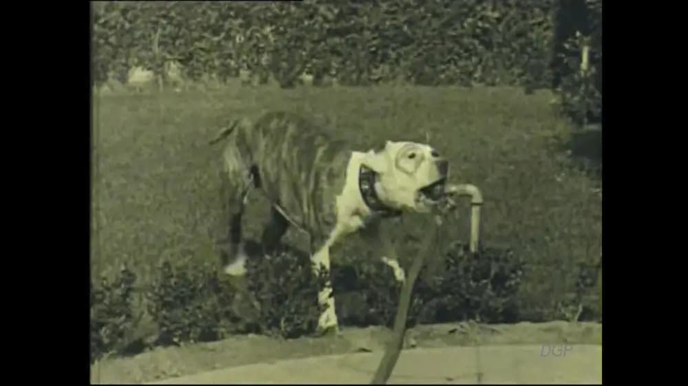 Buster's Mix-Up photo