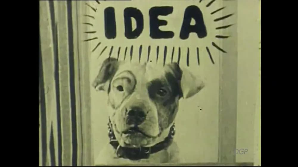 Buster's Mix-Up