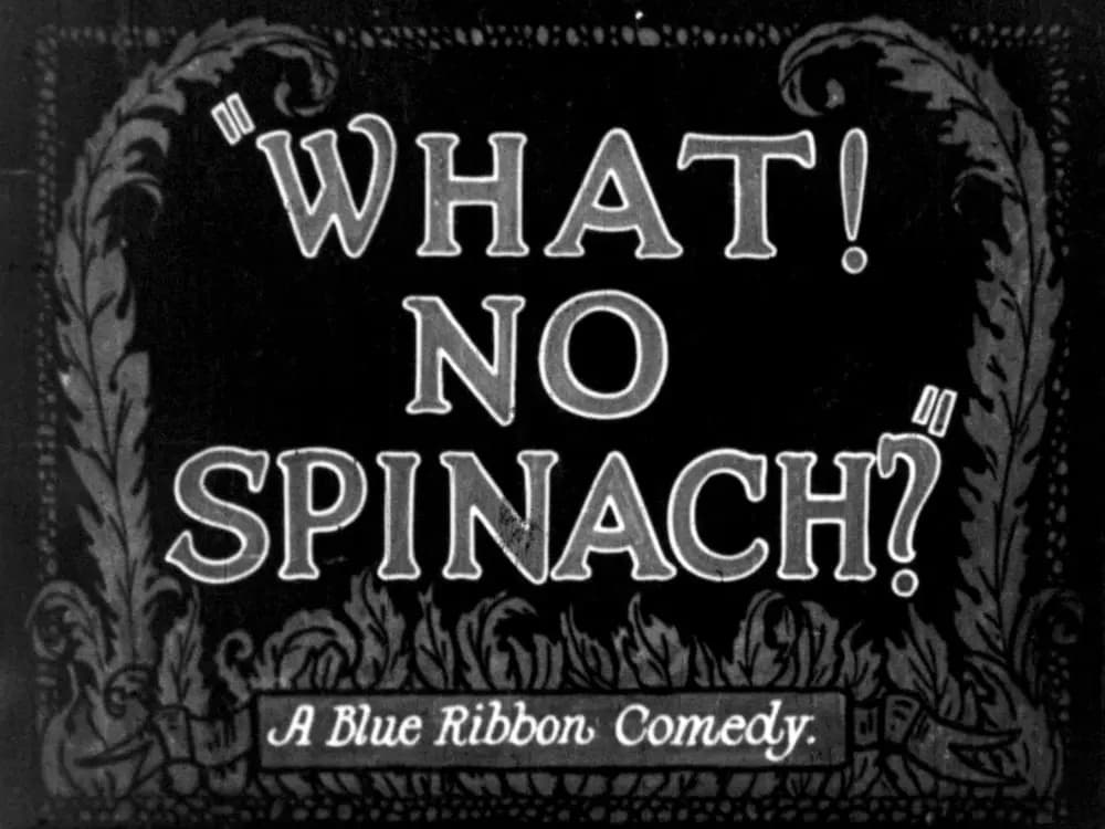 What! No Spinach? photo