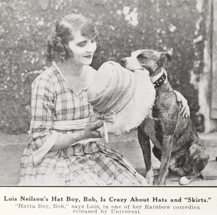 Brownie's Doggone Tricks