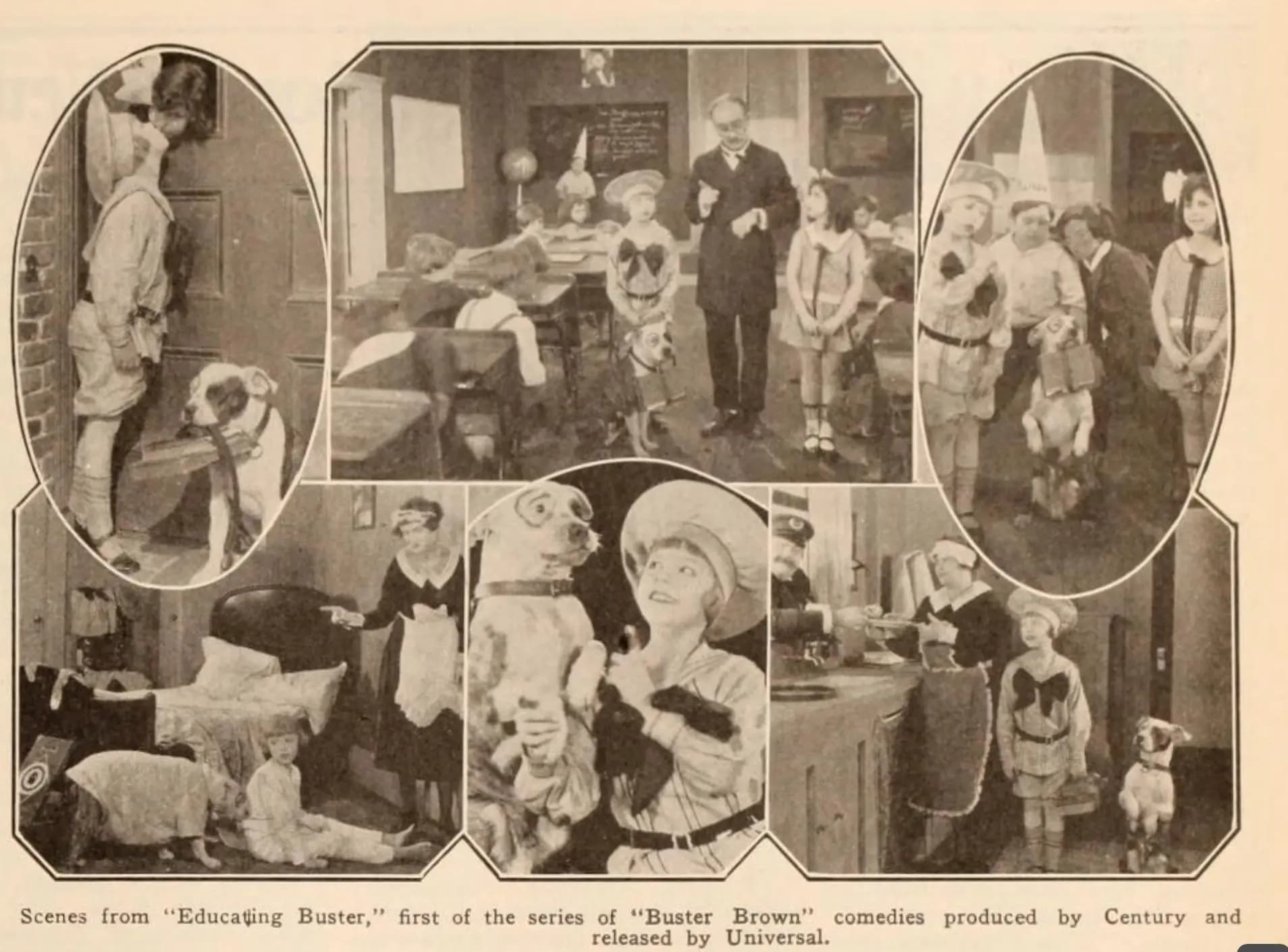Educating Buster