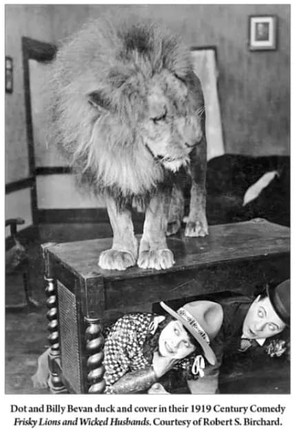 Frisky Lions and Wicked Husbands