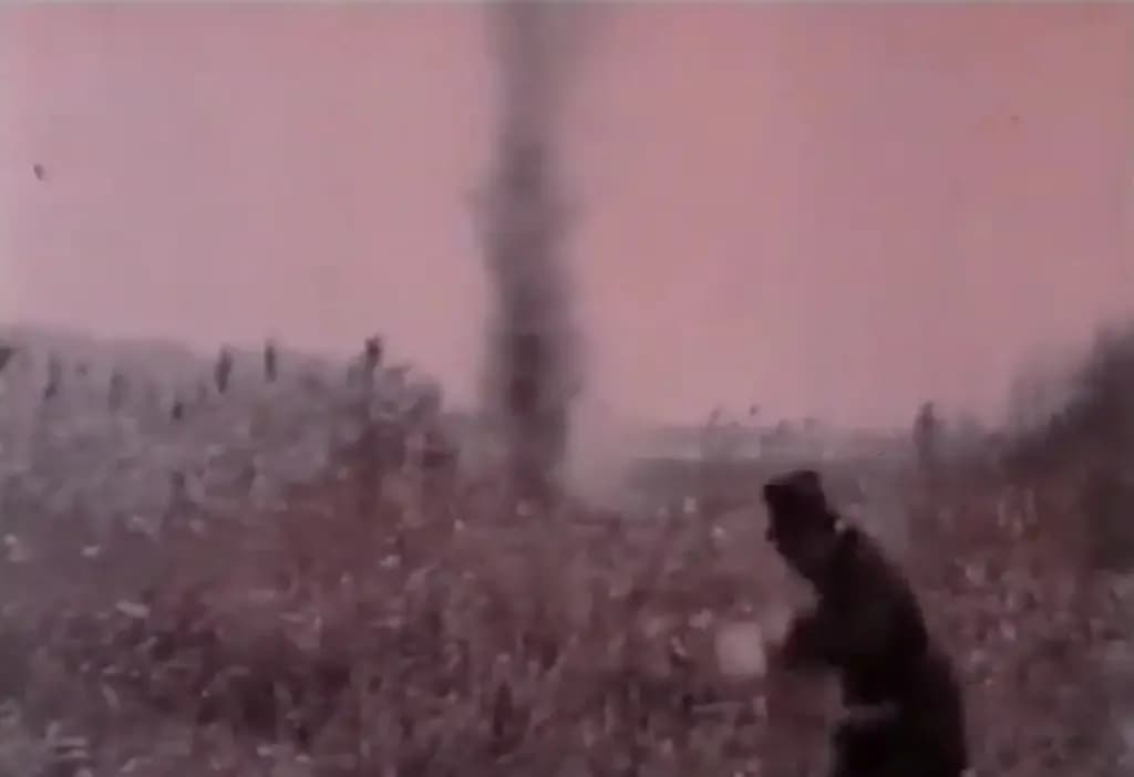 The Island of the Lost