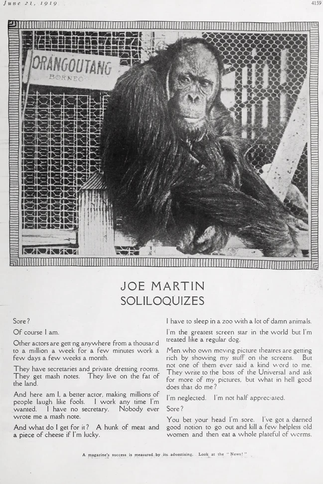 Looney Lions and Monkey Business