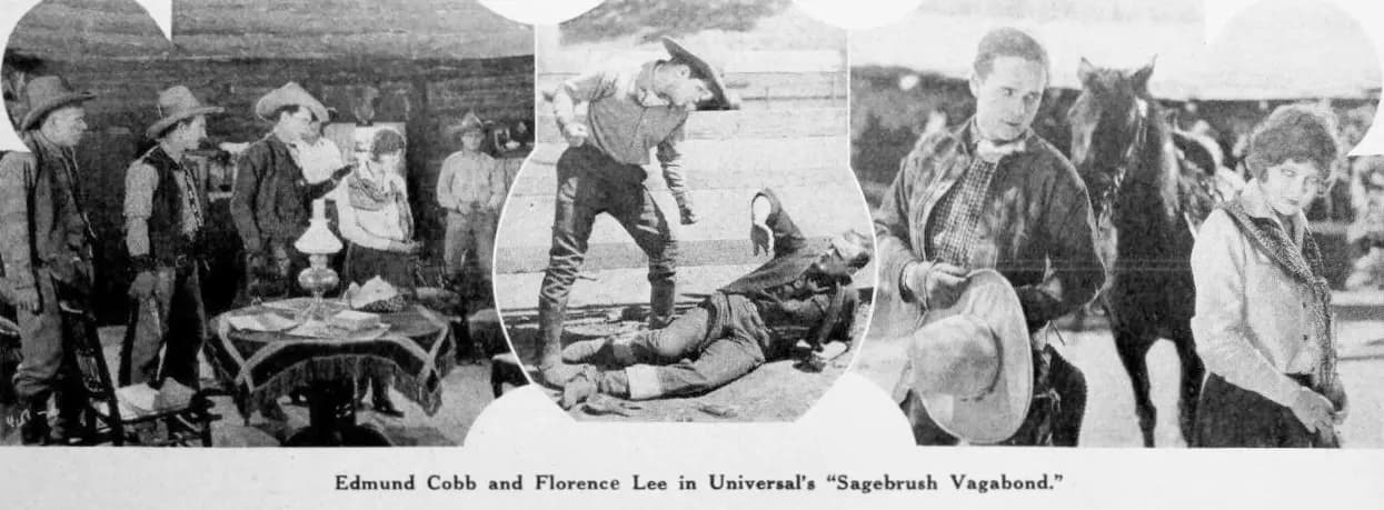A Sagebrush Vagabond photo