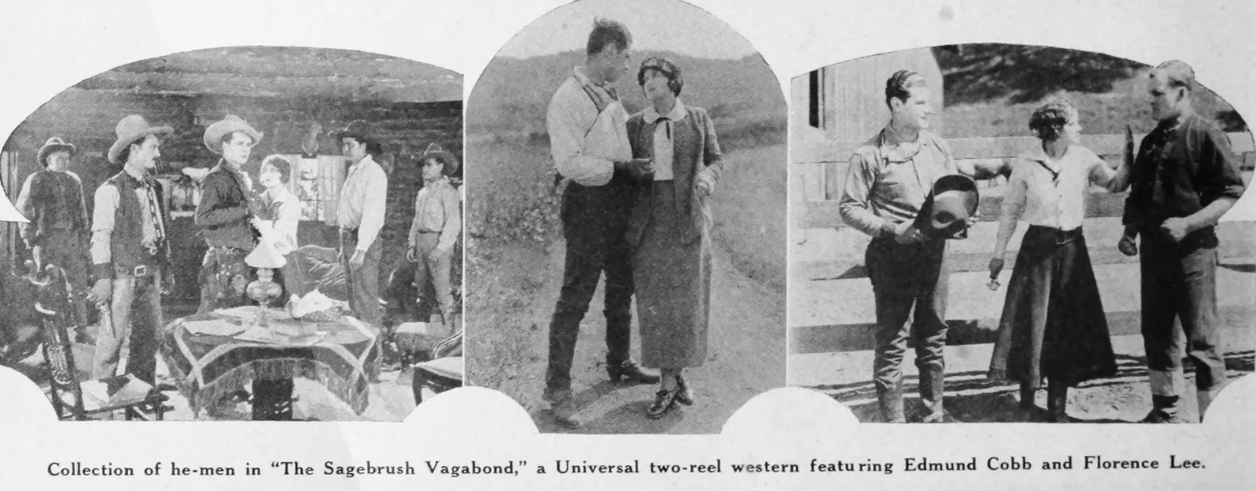 A Sagebrush Vagabond photo