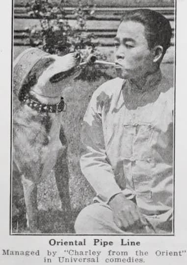 Brownie, the Peacemaker