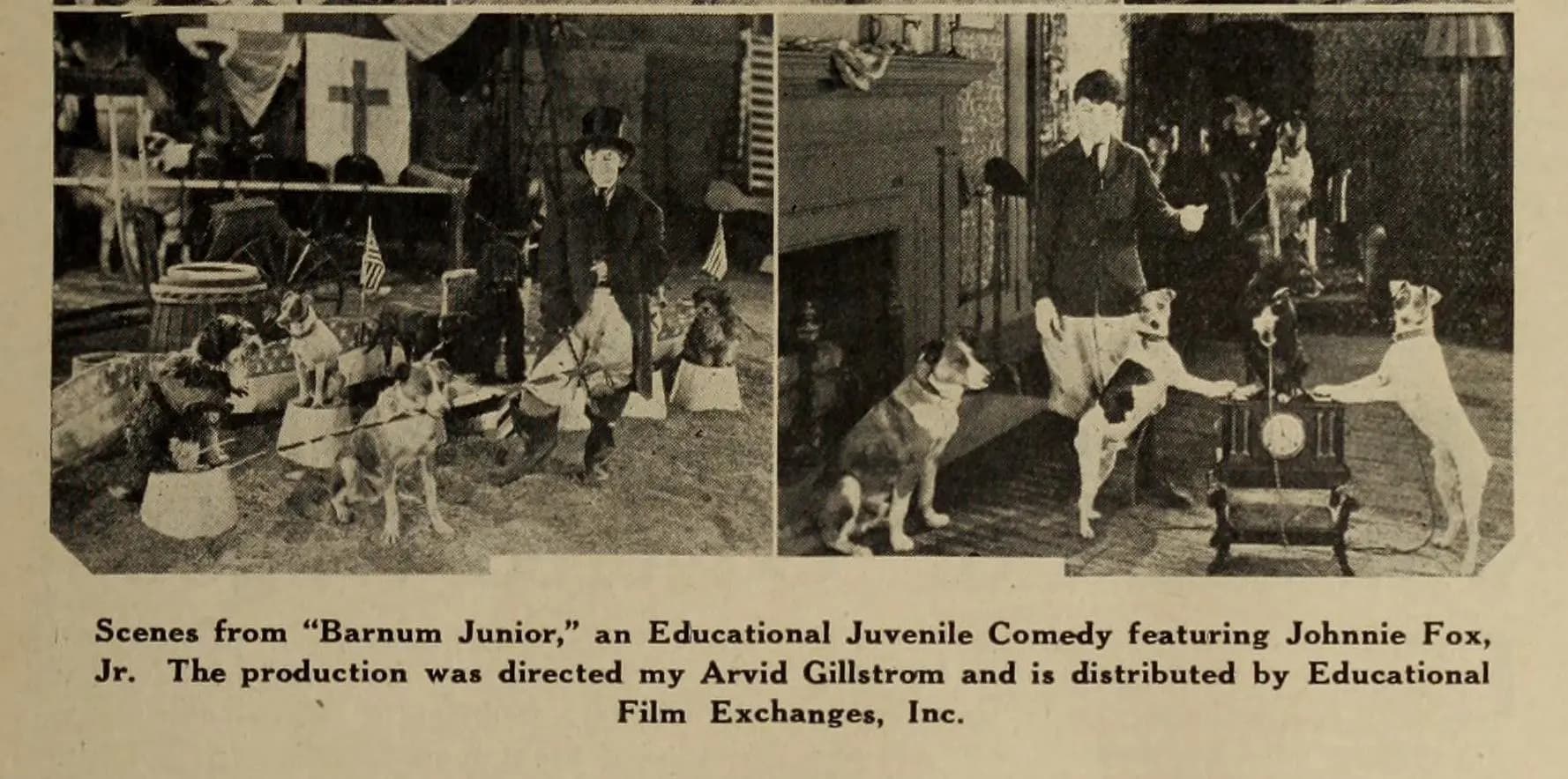 Barnum Junior