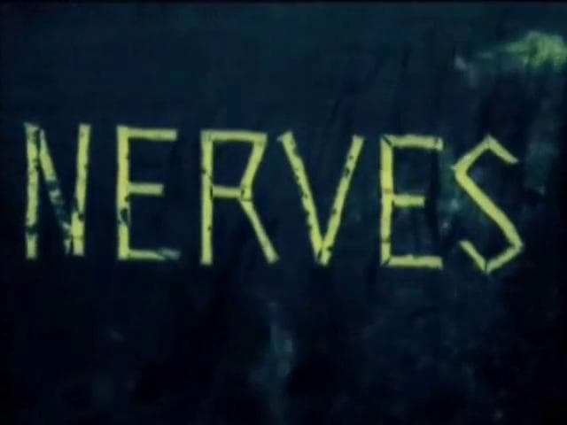 Nerven