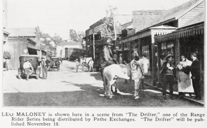 The Drifter