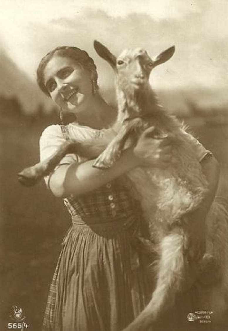 Die Heimkehr des Odysseus