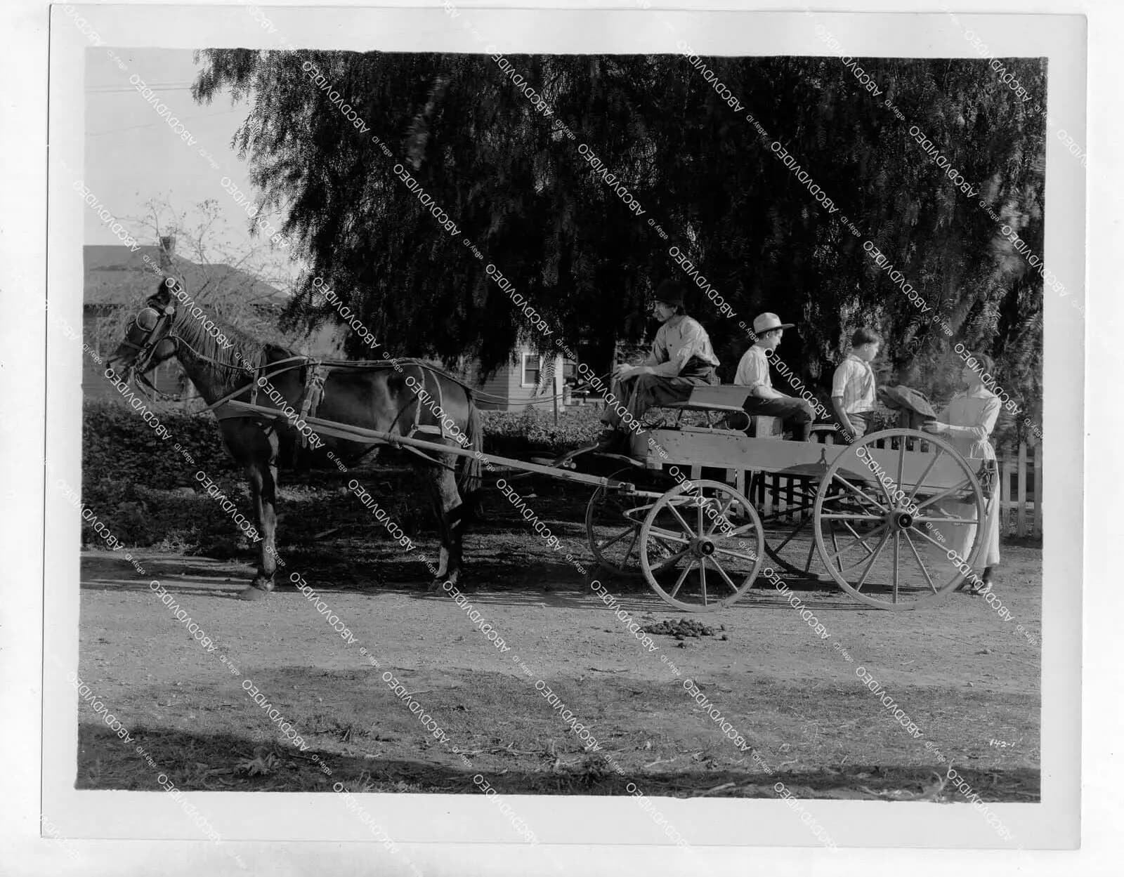 Edgar, the Detective