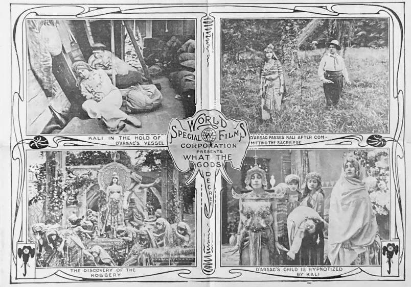 What the Gods Decree photo