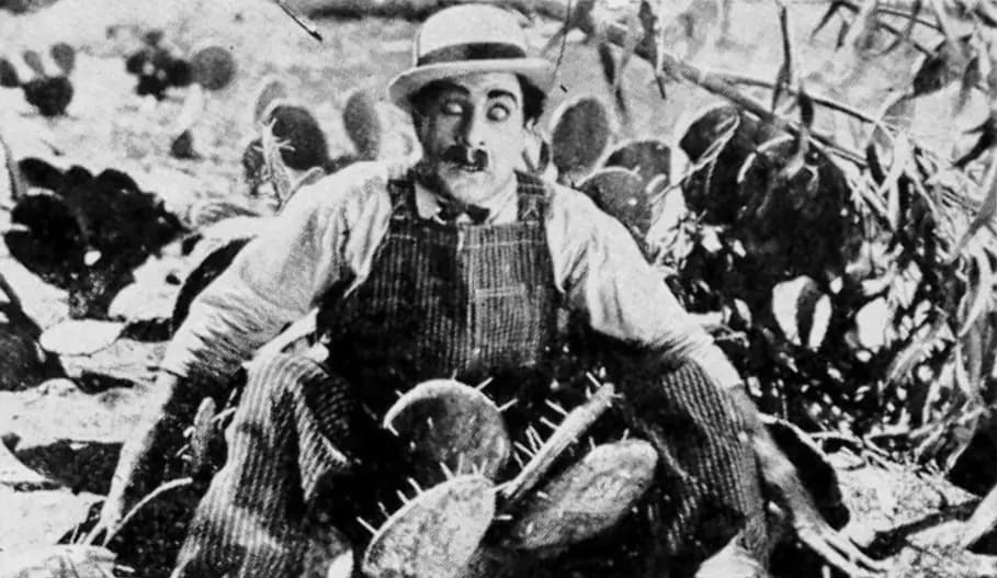 The Hayseed
