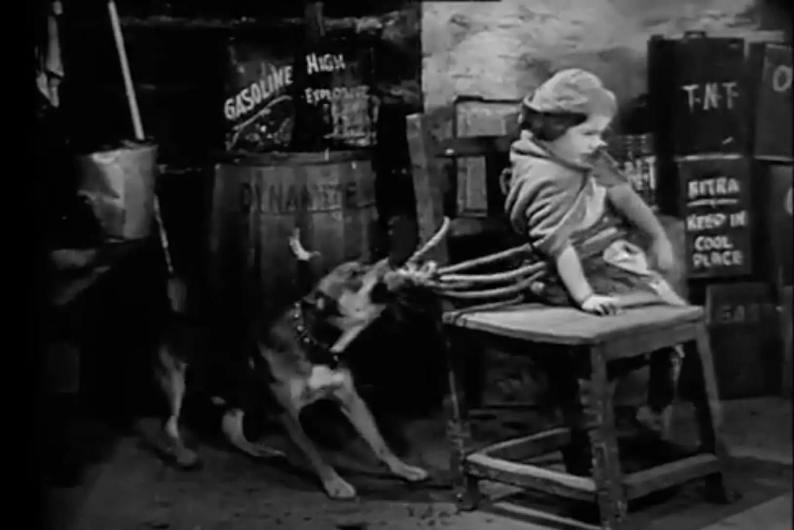 Schoolday Love photo