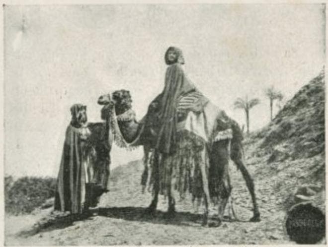 Salambo, a $100,000 Spectacle photo