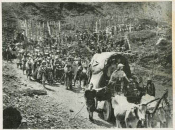 Salambo, a $100,000 Spectacle photo