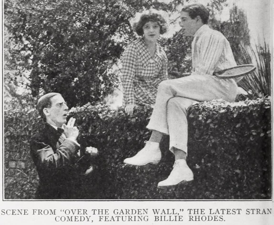 Over the Garden Wall