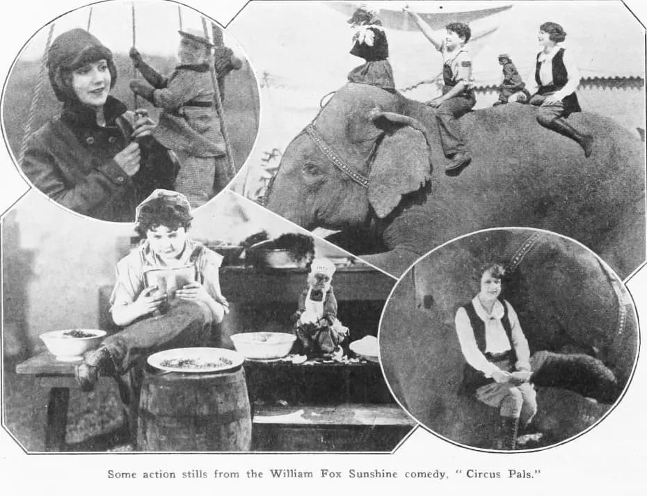 Circus Pals