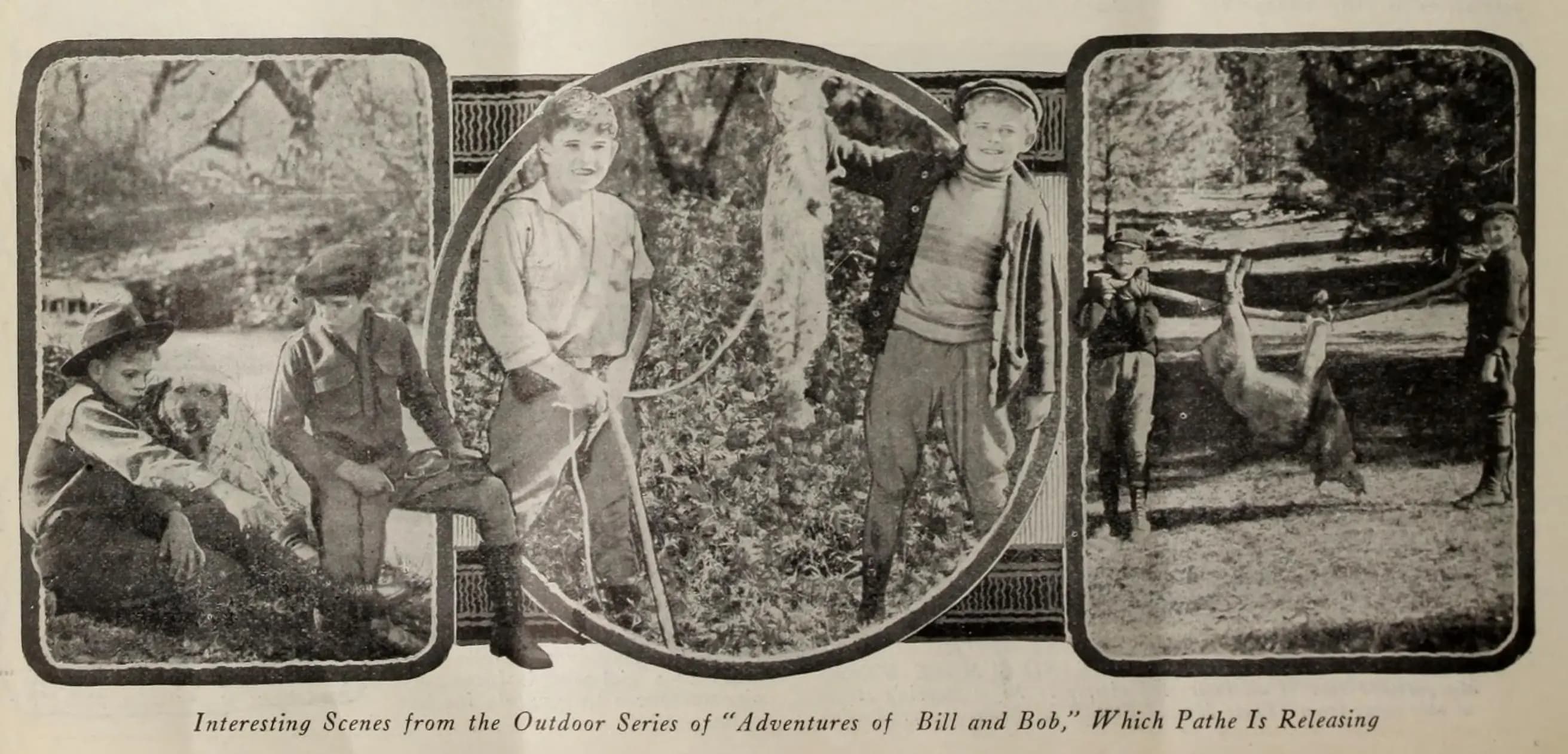 Outwitting the Timber Wolf