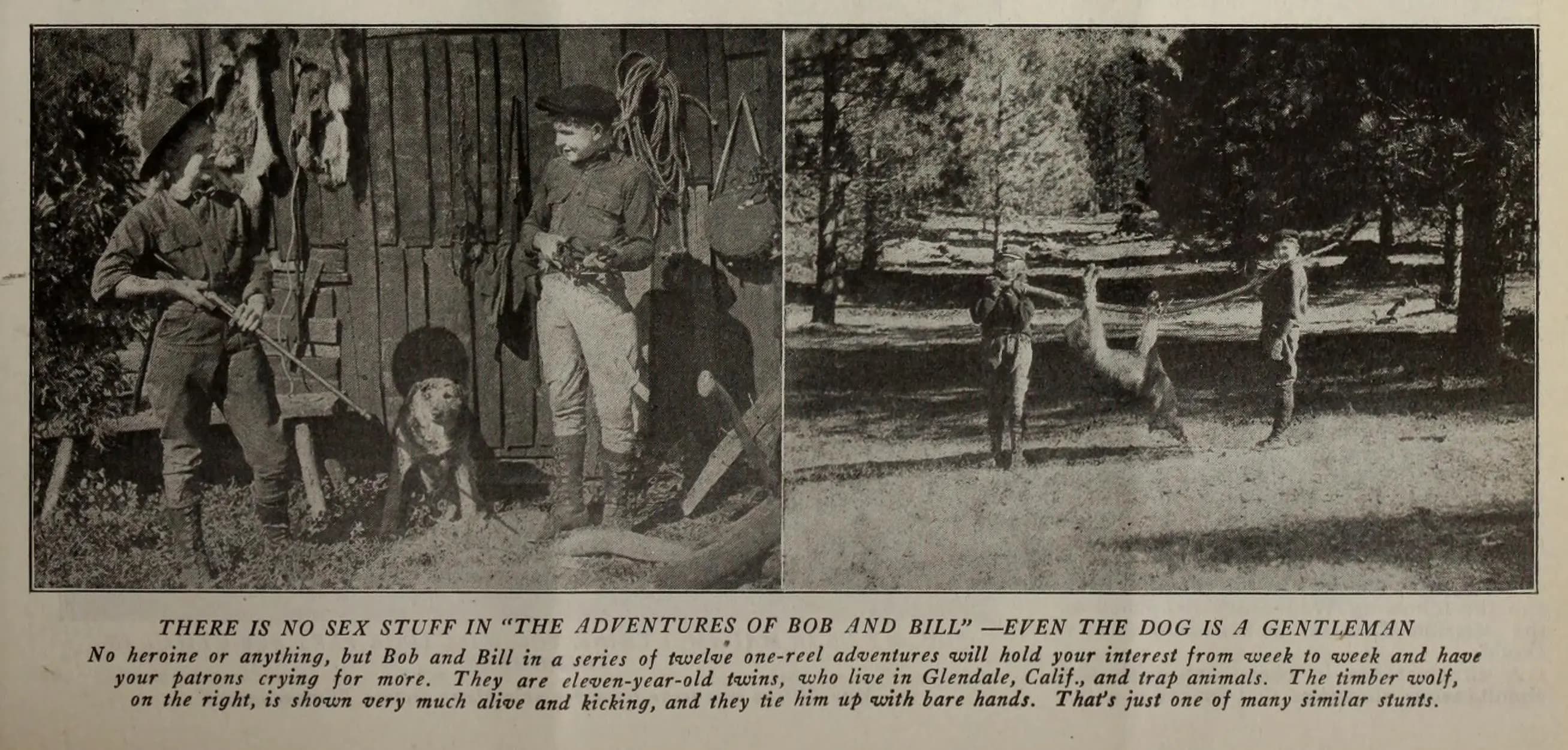 Outwitting the Timber Wolf