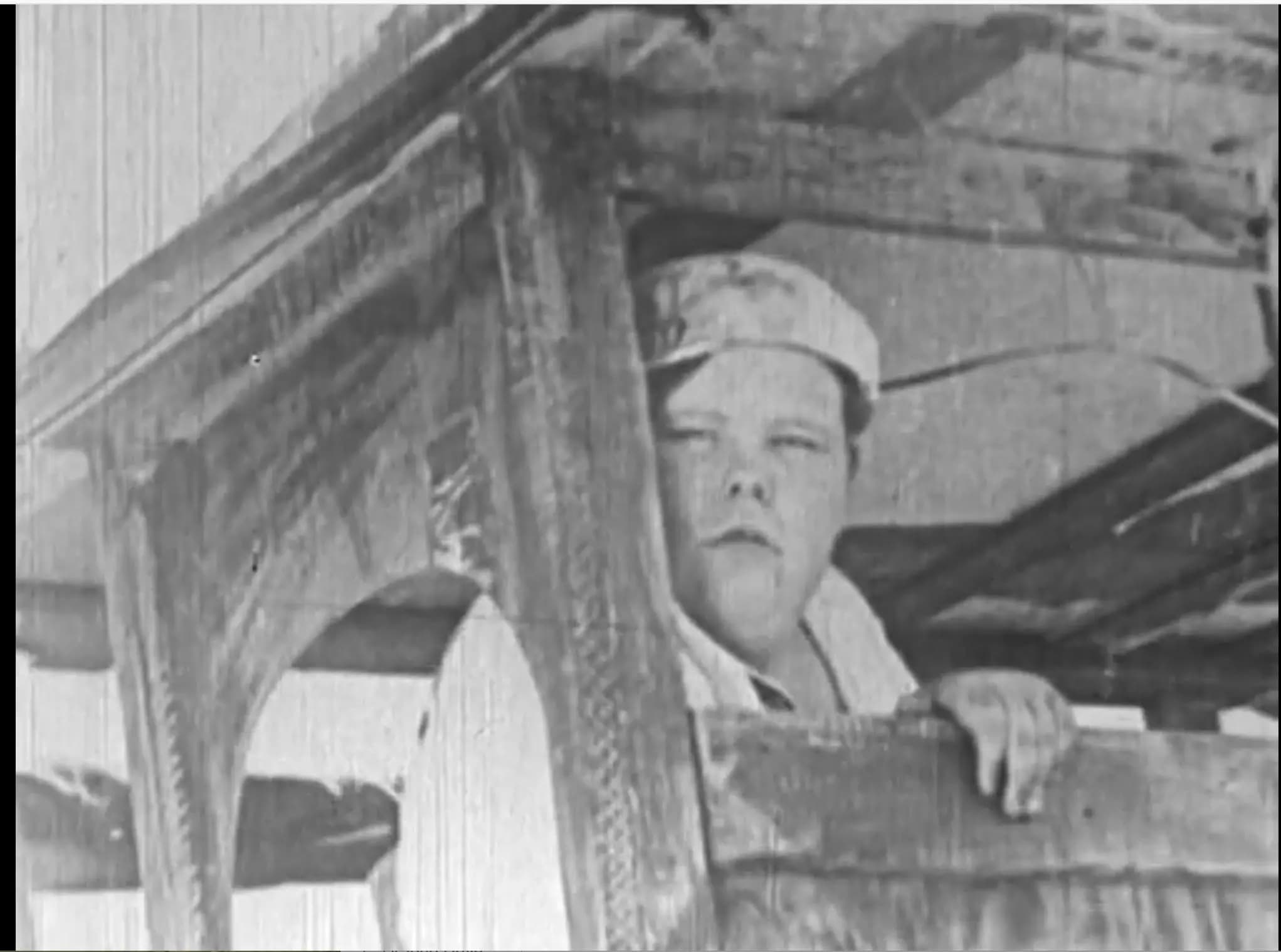 Tin Hoss photo