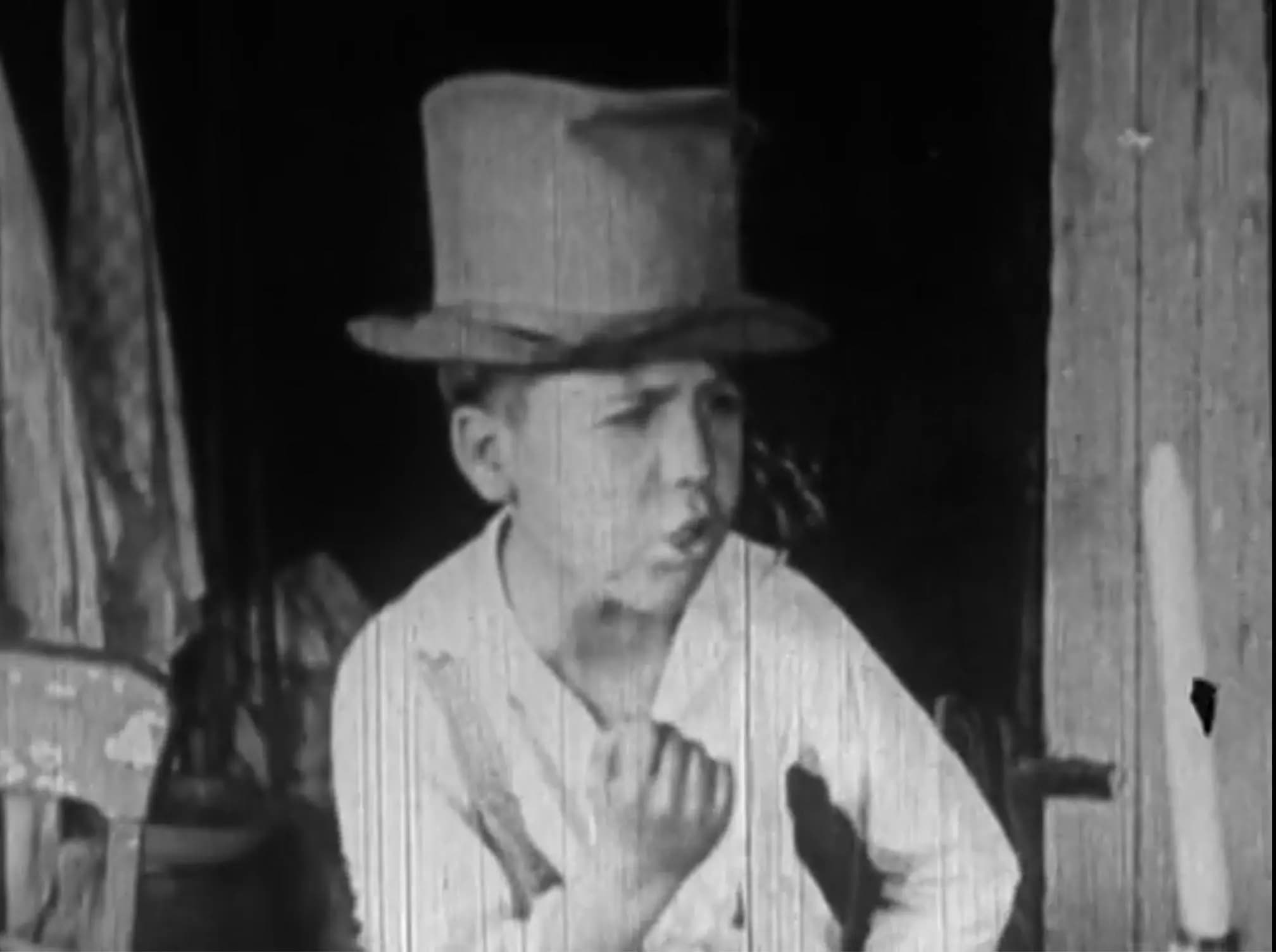 Tin Hoss photo