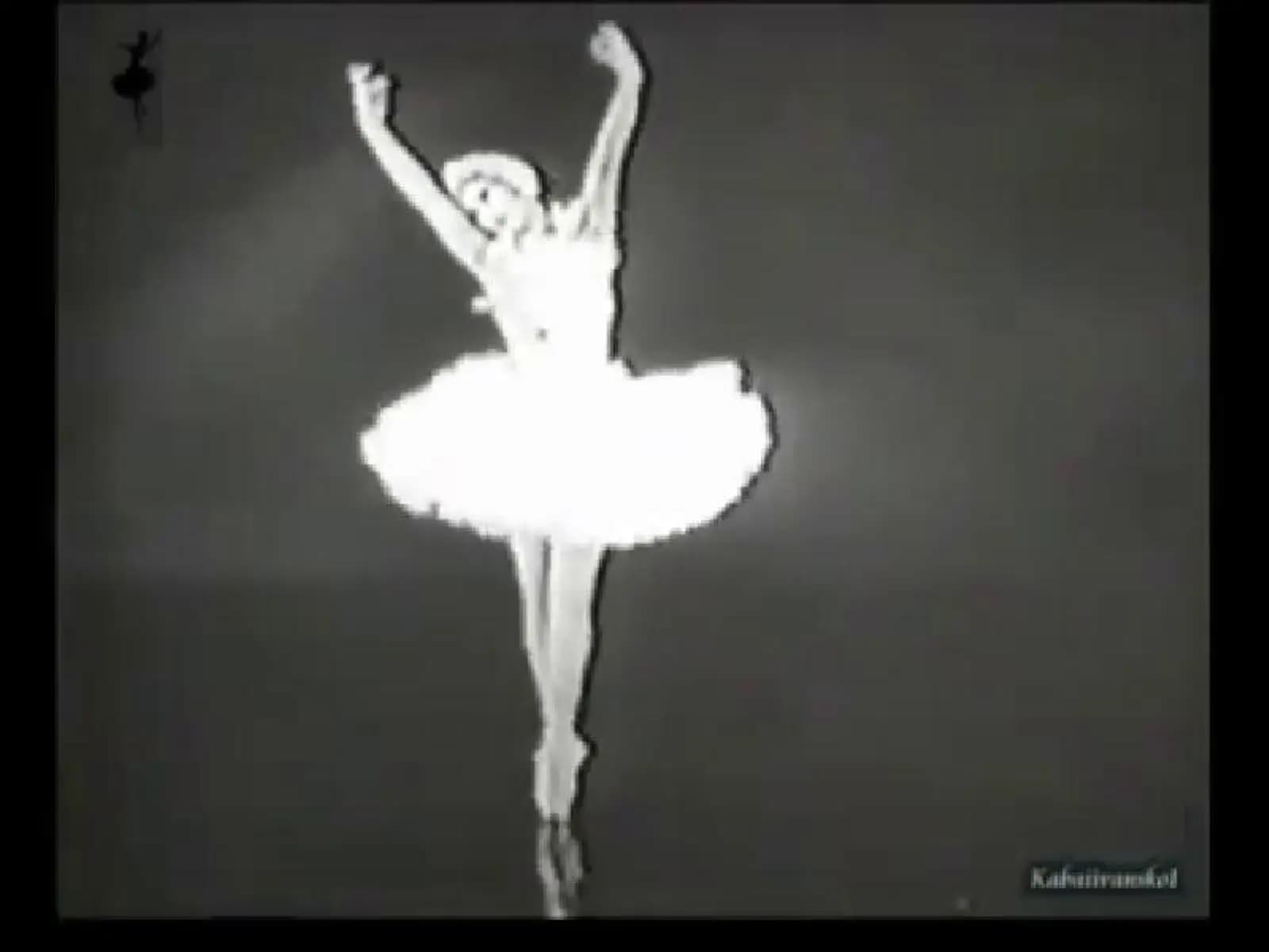 The Dying Swan photo
