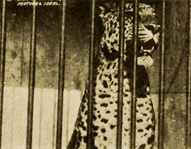 By Power of Attorney