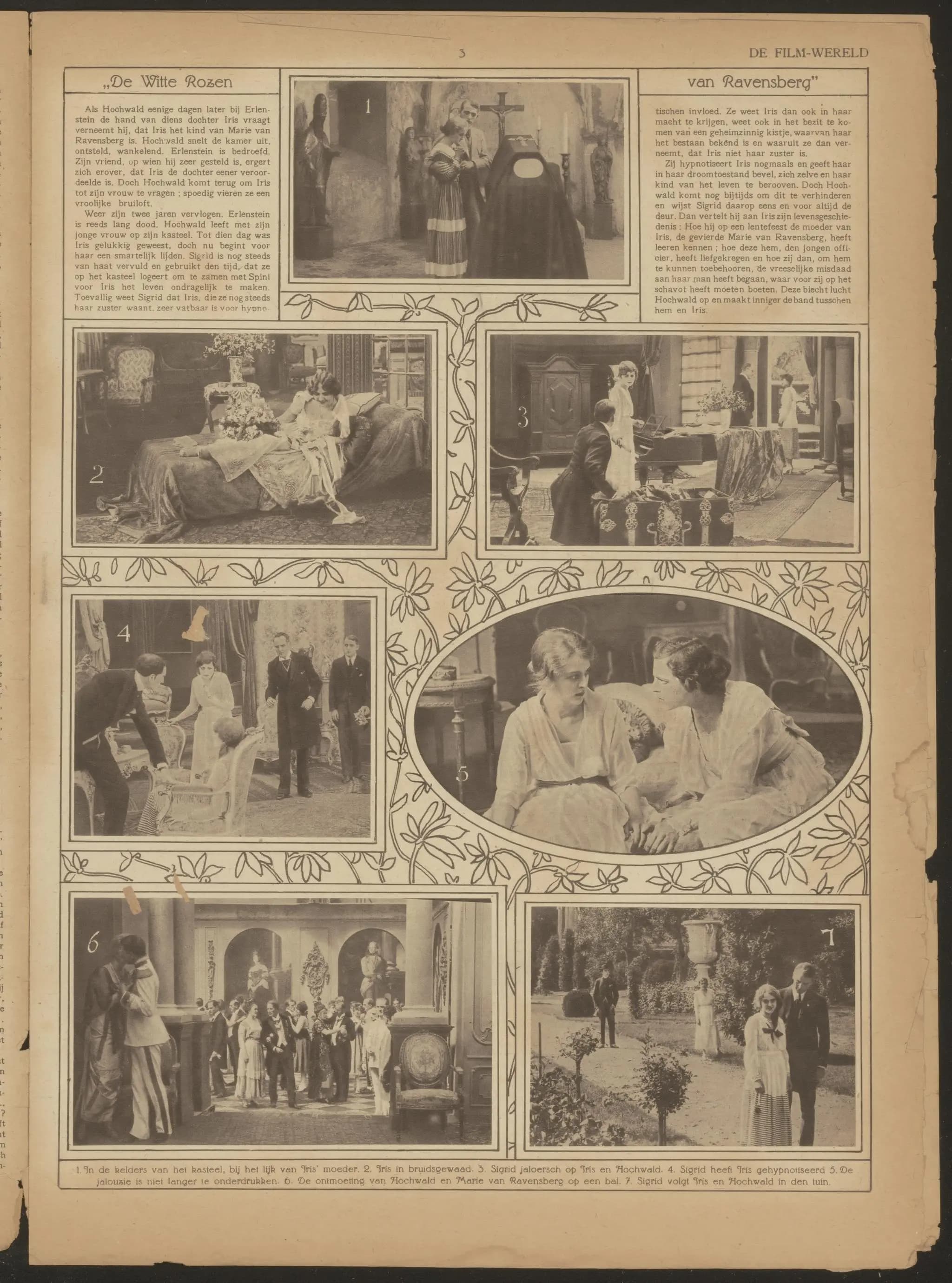 Die weißen Rosen von Ravensberg