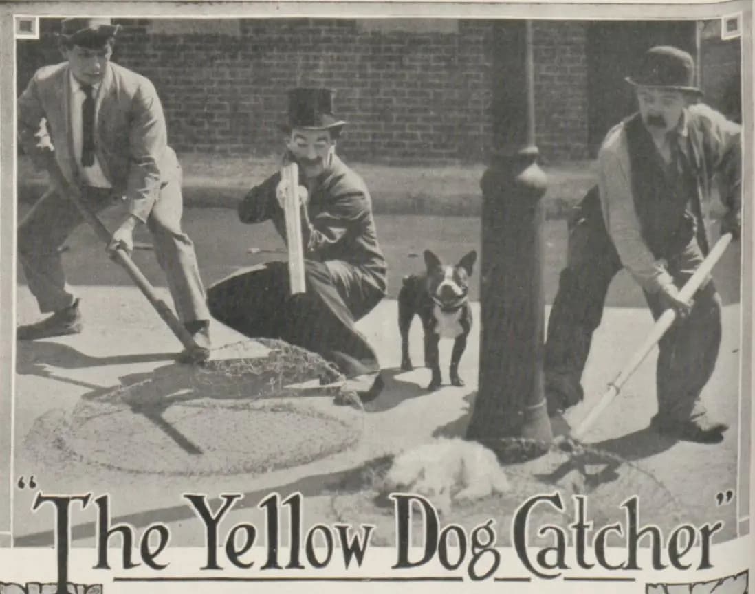 The Yellow Dog Catcher